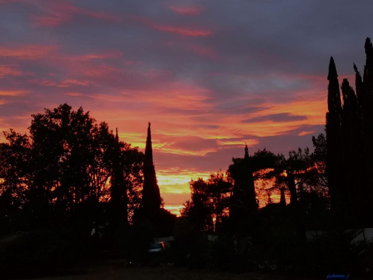 ホテル Vintage Provence アルル エクステリア 写真