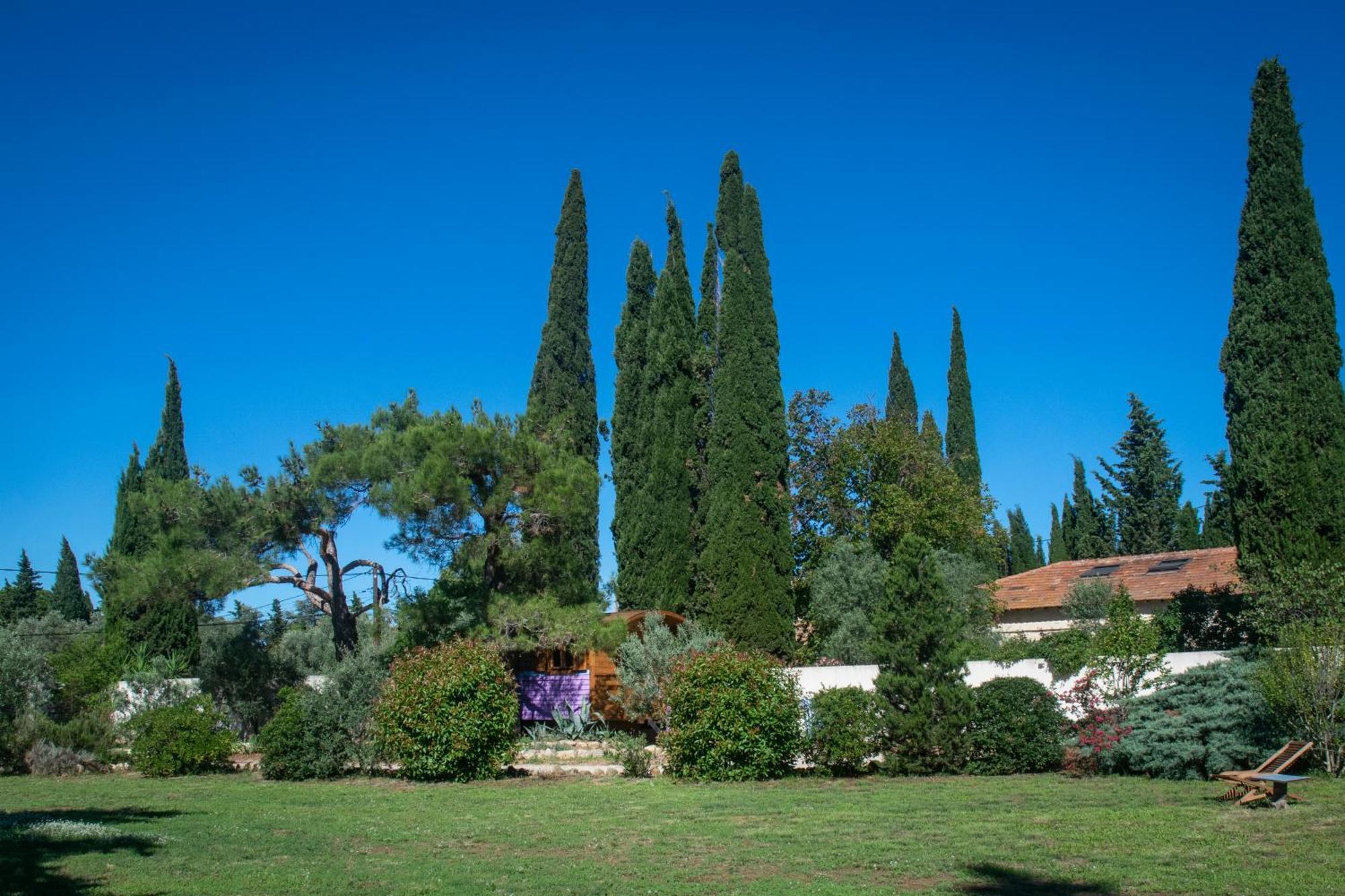 ホテル Vintage Provence アルル 部屋 写真